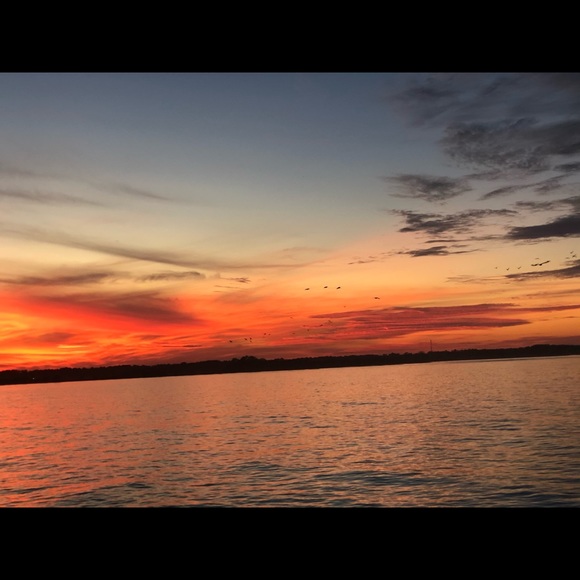 Meet your Posher, Pauline - Picture 3 of 9